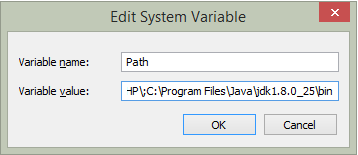 edit system variable in java